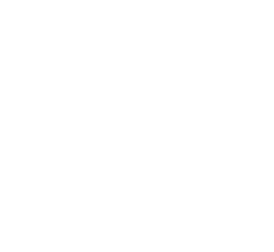 Ray Connor lives with his family in Western Massachusetts. He is an avid reader of novels of all types. Among his favorite authors are: - Stephen King - Robert Ludlum - James Patterson - Tom Clancy - J.K. Rowling - J.R.R Tolkien - Clive Cussler -Jeff Kinney - and many many more!!! 